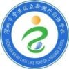 Shenzhen Lixin Lake Foreign Language School