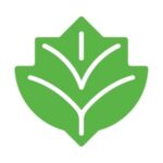 Ivy Education Group