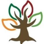 Changchun American International School