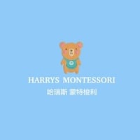 Chengdu Harrys Educare
